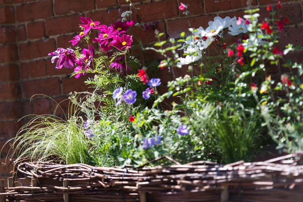 Wren Cottage, A Very Cosy Historic Coastal Cottage In A Pretty Little Village Wickham Market المظهر الخارجي الصورة